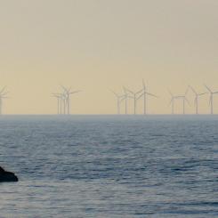 Vindkraft i sundet utanför Malmö. Foto: Wikipedia Common Lic, kredit: Jorchr