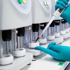 - Hur många av de varslade jobben som faktiskt försvinner i Danmark återstår att se, säger Novo Nordisk. 
Förhandlingar mellan fack och företag pågår, och de närmaste månaderna kommer att avgöra i vilken omfattning den danska arbetsmarknaden påverkas av ett beslut som redan nu beskrivs som en historisk vändpunkt för Novo Nordisk.
