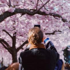 Stockholm får högst betyg, 89,6, av alla europeiska städer inom teknisk infrastruktur och uppkoppling. Foto: chirill- ceban/Unsplash