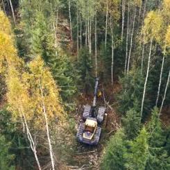 Stora Ensos agerande och ansvar i dessa frågor kommer att spela en viktig roll för hur allmänheten och intressenterna ser på deras förmåga att kombinera industriell verksamhet med långsiktigt naturvårdarbete.  Foto: Stora Enso Metsä