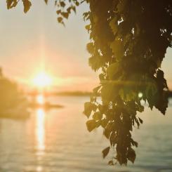 Vasa i Finland. Foto: Felix Lindvik/Unsplash