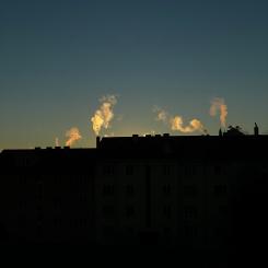 En granskning från Riksrevisionen visar att regeringens styrning är svag och att det är oklart om insatserna bidrar i tillräcklig omfattning till klimatmålen. Myndigheten pekar också på brister i uppföljning av totalkostnader, vilket försvårar jämförelser med andra klimatåtgärder. Foto: Benaja Germann/Unsplash