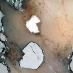 Den något ljusare kristallen som kan ses mitt i bild är skogbyit. Bild tagen i planpolariserat ljus. Kristallen är cirka 50 mikrometer i diameter. Foto: Erik Jonsson, SGU